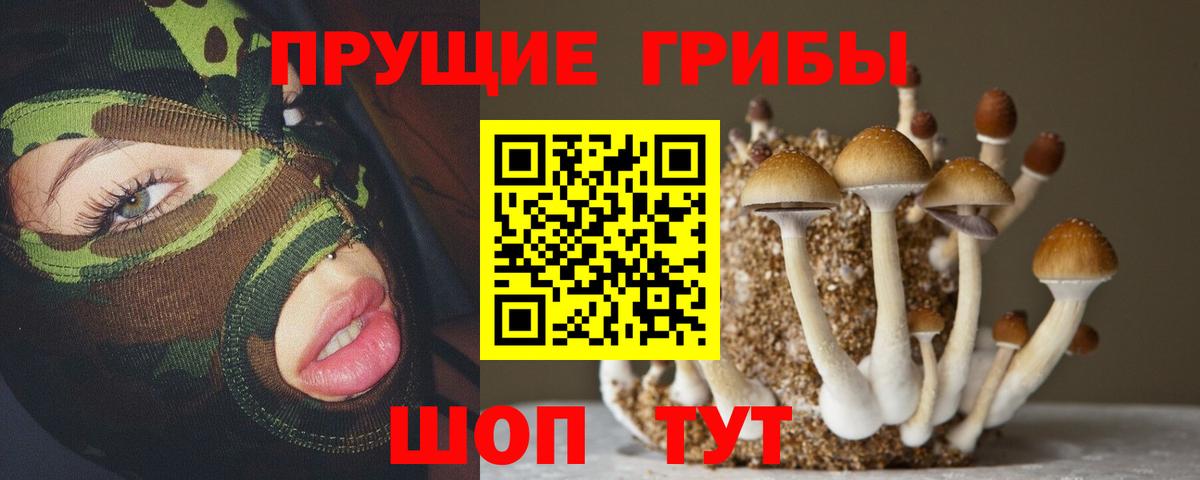 что такое наркотик  Галлюциногенные грибы Magic Shrooms  Вход с VPN  Лангепас  Галлюциногенные грибы прущие грибы 